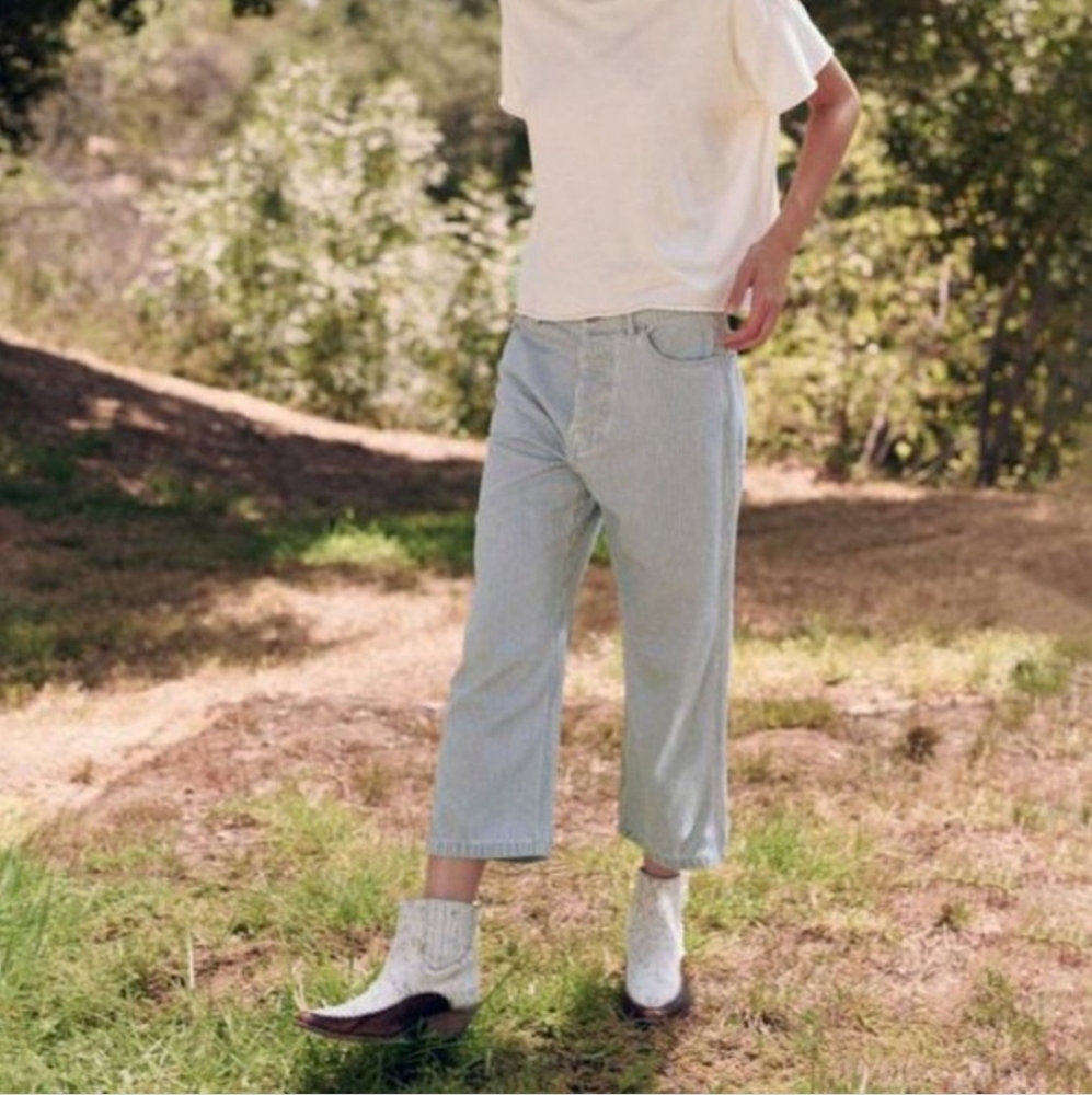The Great The Railroad Jean Striped Pants Size 28